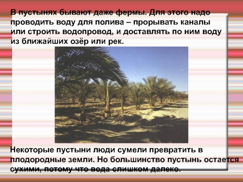 Как человек ведет хозяйство в пустыне сообщение. Хозяйственная деятельность в пустыне. Деятельность человека в пустынях. Хозяйственная деятельность людей в пустыне. Труд людей в пустынях.