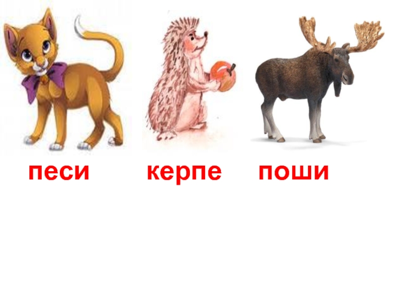 Песе. Керпе для презентаций. Поши животное на татарском. Песи Войс. АК песи.