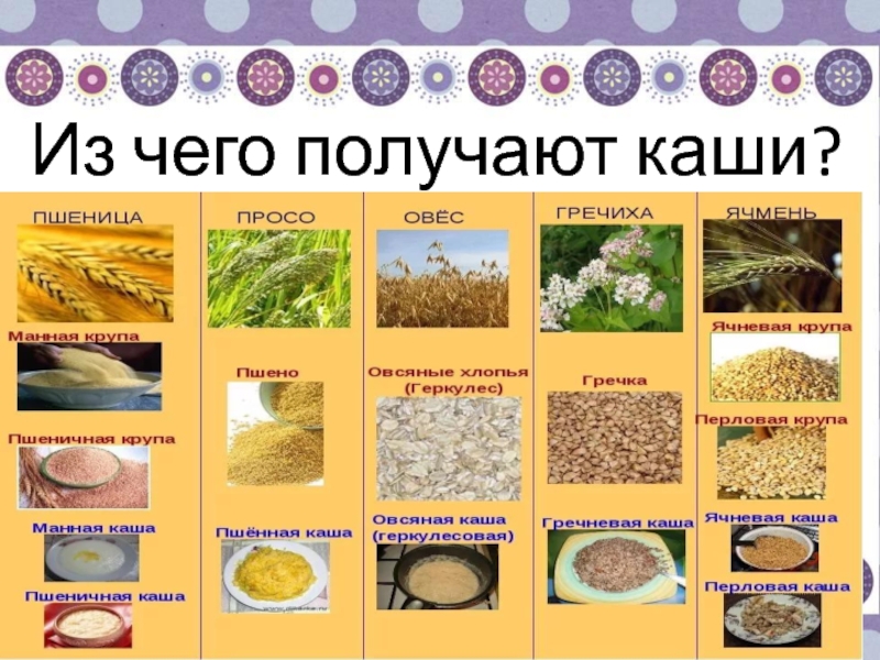 Все открытые уроки каши