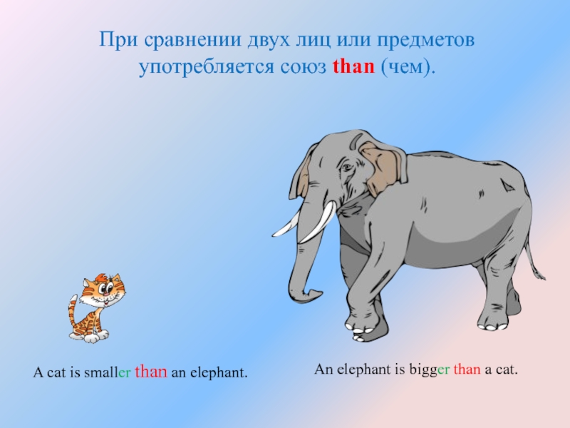 Bigger or smaller than. При сравнении. Than Союз. The Elephant is bigger than the Cat. Как переводится the Elephant is bigger than the Cat.