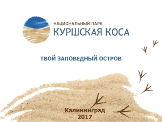 Куршская коса - твой заповедный остров учебно-методический материал по окружающему миру по теме
