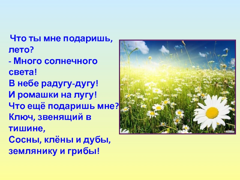 Несколько лет лета текст. Что ты мне подаришь лето стих. Радугу дугу и ромашки на лугу. Лето что ты мне подаришь лето много солнечного света. Что ты мне подаришь лето много солнечного.