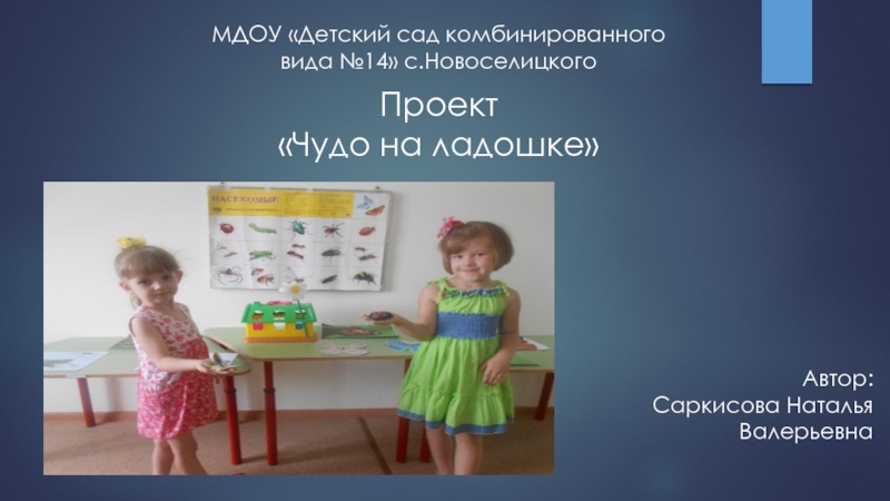 МДОУ «Детский сад комбинированного вида №14» с.Новоселицкого    Проект  «Чудо